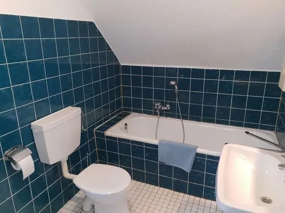 Monteurzimmer Hoffmann - Banyo Tipleri