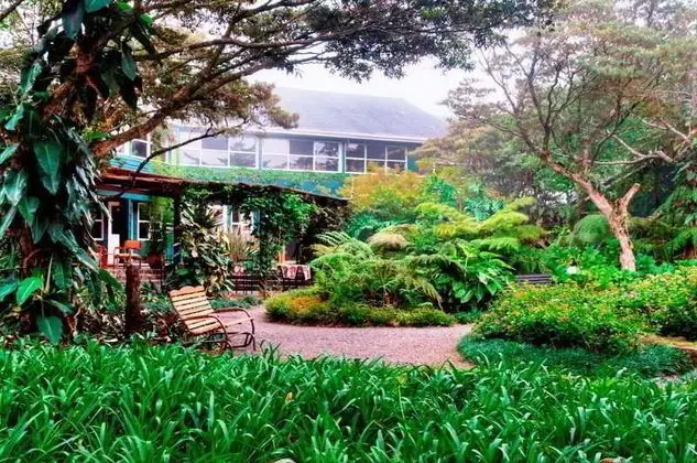Monteverde Lodge & Gardens - Genel
