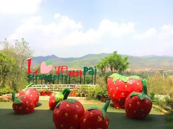 Montri Garden House