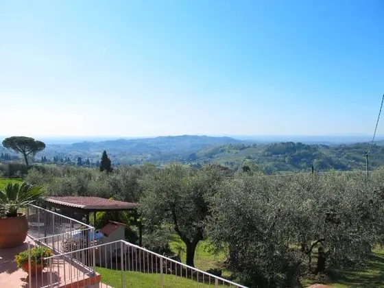 Mony Capannori in Capannori