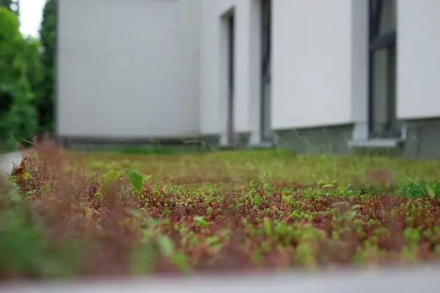 Moods Hotel Dortmund - Dış Mekan