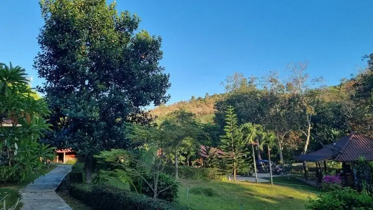 Mookies Bungalow