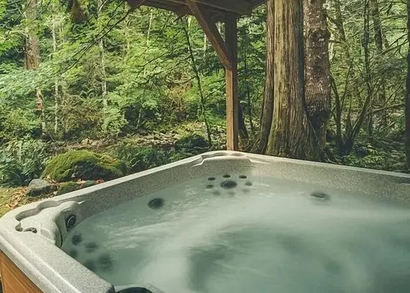 Moondance Cabin - Spa