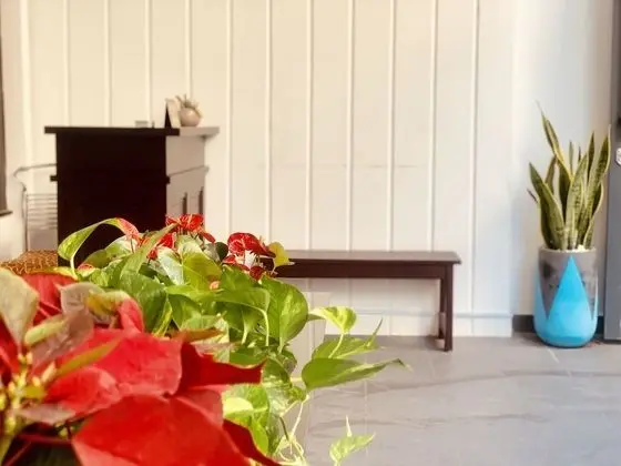Moonlight House & Apartment Nha Trang - Lobi