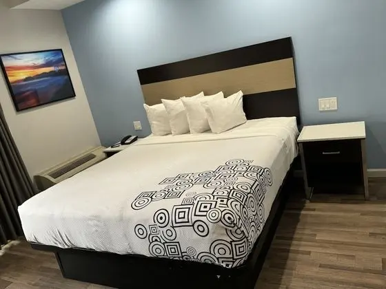 Moonlite Inn Redondo Beach - Oda