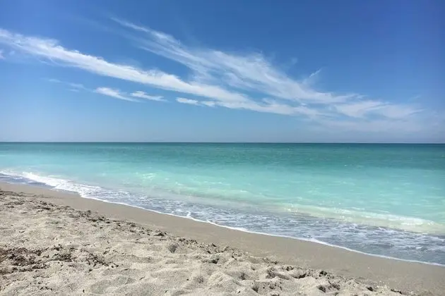 Moonmist Gorgeously Renovated Courtyard - Plaj