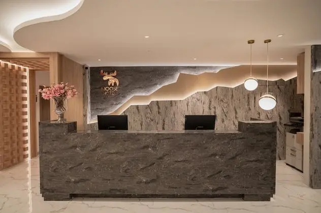Moose Hotel Nimman - Lobi