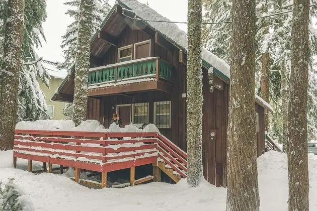 Moosewood Cabin - Dış Mekan