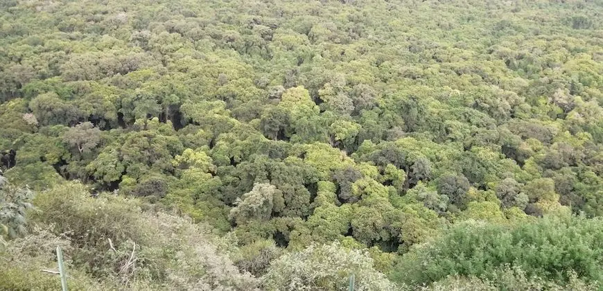 Mora Heights Hotel - Dış Mekan