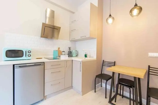 More Apartments na Plotinnoy 2-3 - Mutfak