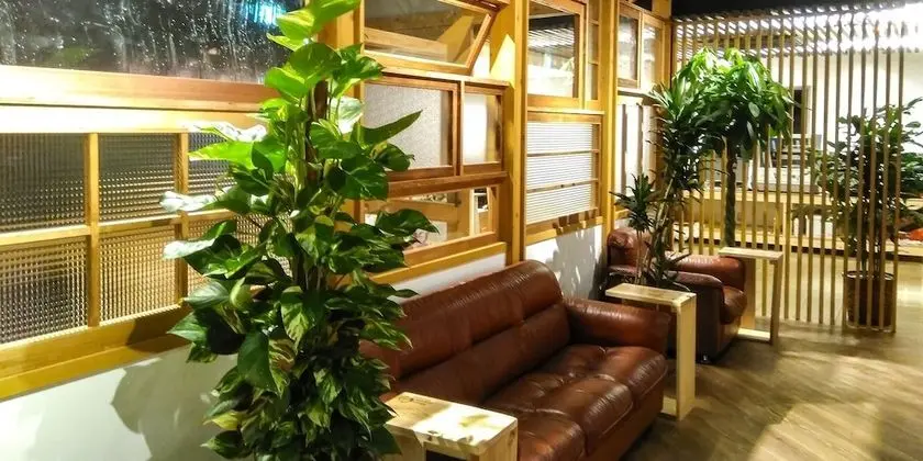 Mori no Guest House - Hostel - Lobi