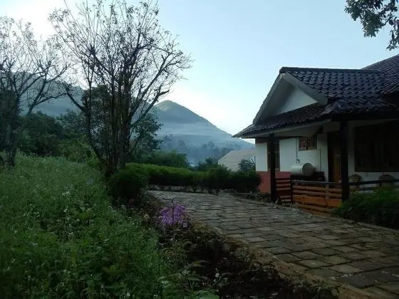 Morning Glory Inn