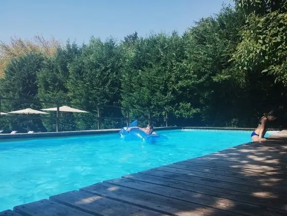 Villa Moro Lin - Havuz