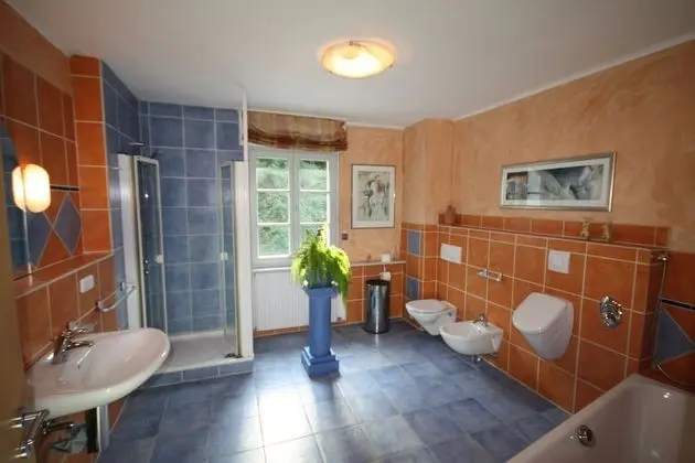 Moseltraum Alte Schmiede - Banyo Tipleri