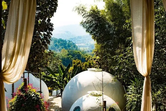 The Mothership - Hostel - Dış Mekan