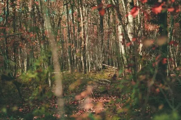 Moulin Renaudiots - Dış Mekan