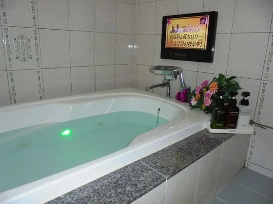 HOTEL MOULIN ROUGE - Adults Only - Banyo Tipleri