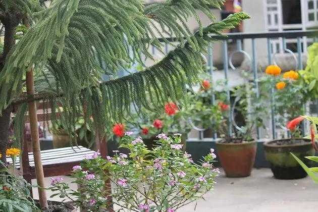 Mount Annapurna Guest House