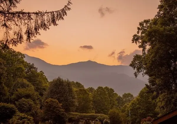 Mount Mitchell Eco Retreat - Dış Mekan