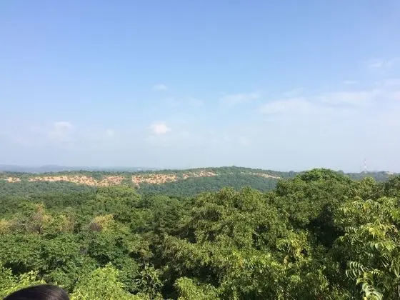 Mount River View