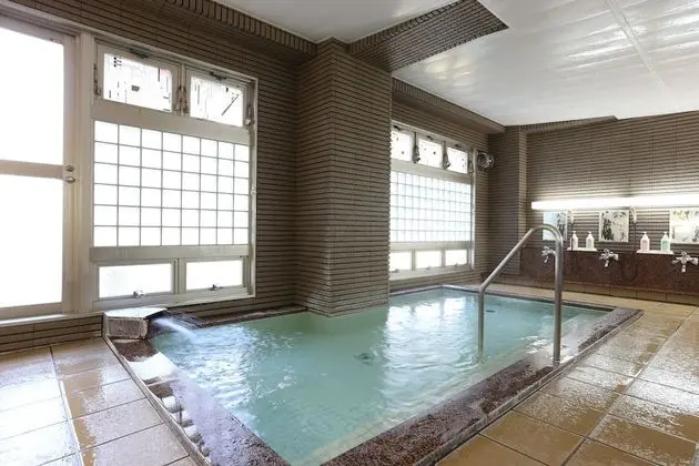 Hotel Mount Shiga - Havuz