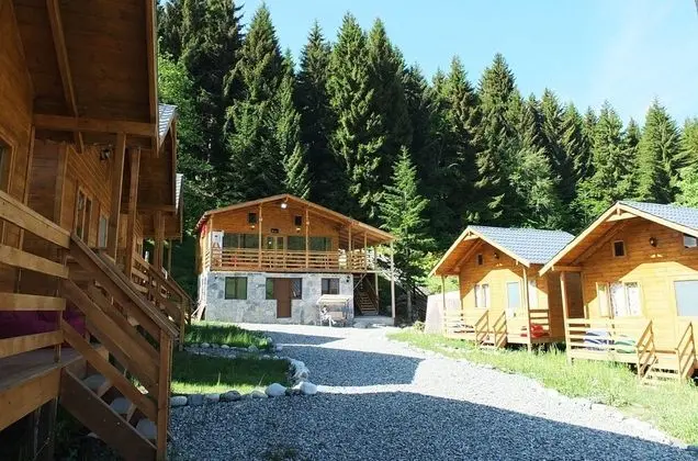Mountain Cabins