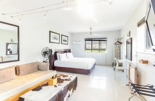 Mountain Facing Studio on Promenade