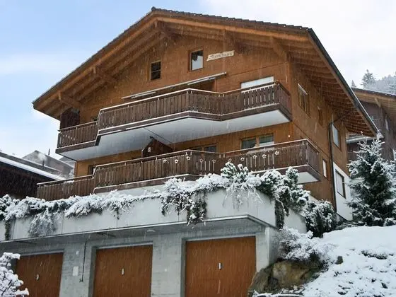Mountain Lake Panorama Beatenberg - Oda