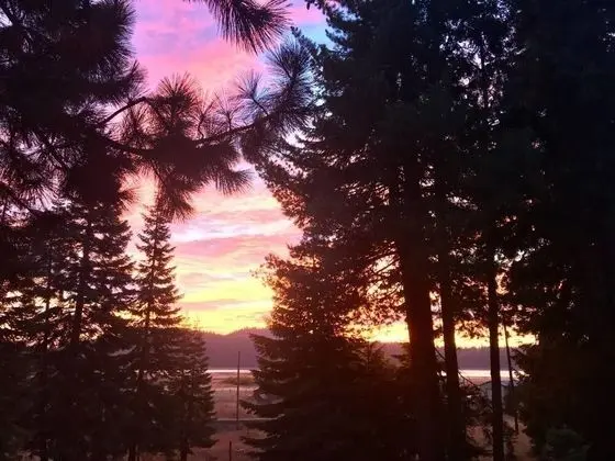 Mountain Pine Cabin - Sleeps 6 - Pet Friendly