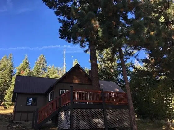 Mountain Pine Cabin - Sleeps 6 - Pet Friendly