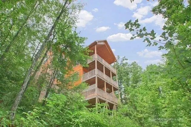 Mountain Shadow Lodge - Six Bedroom Cabin - Dış Mekan