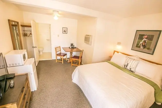 Mountain Springs Motel - Oda