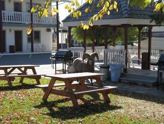 Mountain Springs Motel - Yerinde Yemek