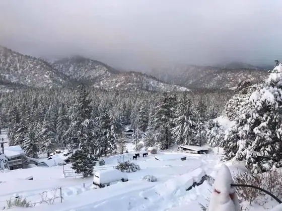 Mountain View Cabins