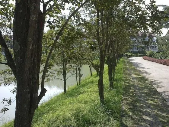 Mountainpark-Switzerland Resort - Dış Mekan