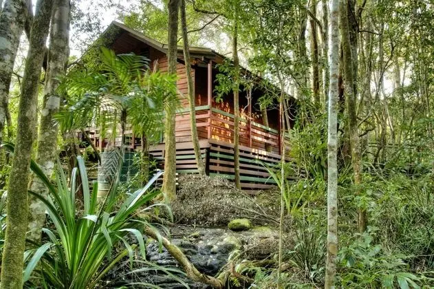 The Mouses House Rainforest Retreat - Havuz