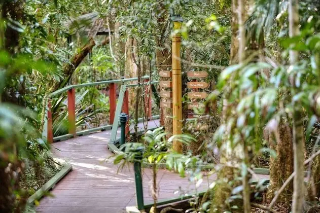 The Mouses House Rainforest Retreat - Lobi