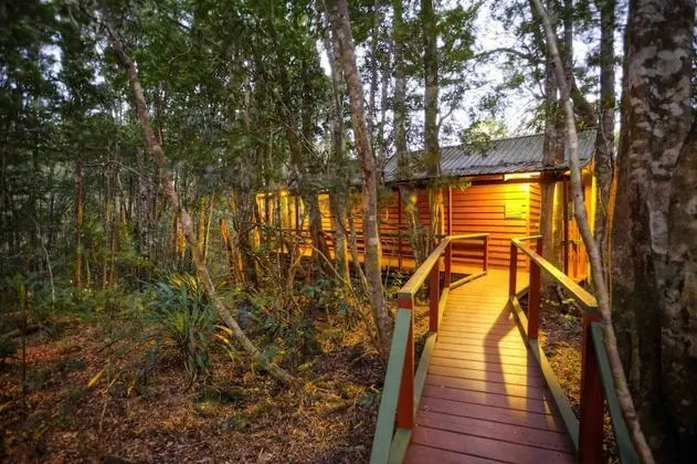 The Mouses House Rainforest Retreat - 1