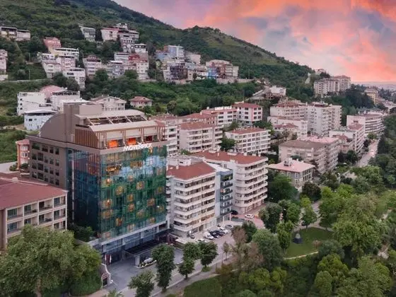 Mövenpick Hotel & Thermal Spa Bursa - 10