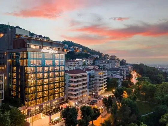 Mövenpick Hotel & Thermal Spa Bursa - 11