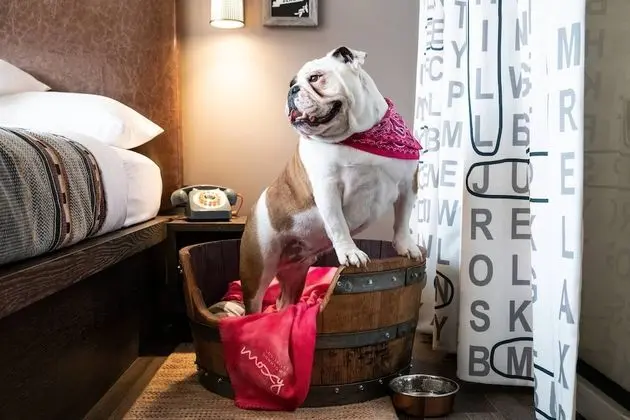 Moxy Louisville Downtown, a Marriott Hotel - Dış Mekan