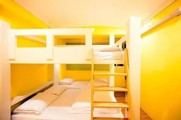 Mr Lobster's Secret Den Design Hostel - Oda Düzeni