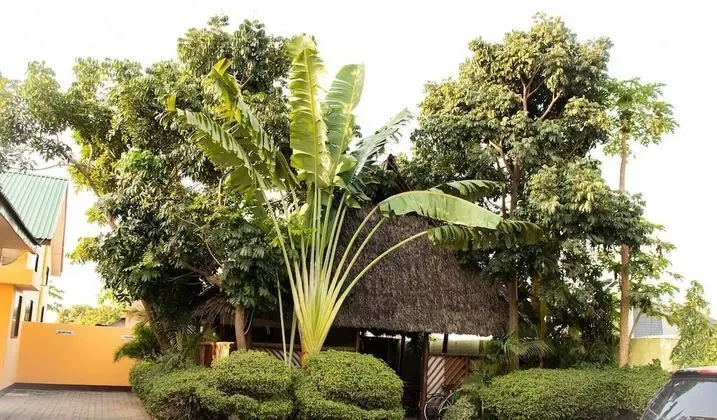 Msafiri Lodge