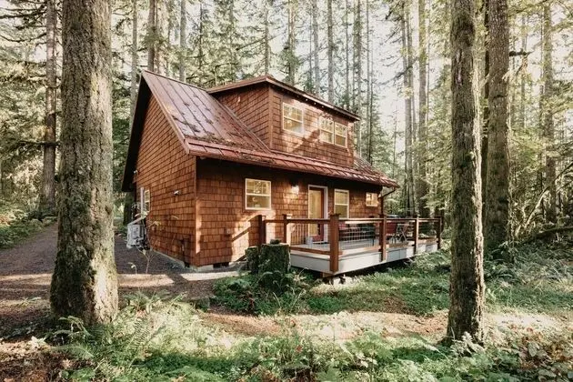 Mt. Baker Lodging Cabin 12 – BBQ, WiFi, Sleeps-4! by MBL - Dış Mekan