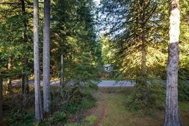 Mt Baker Lodging Cabin 24 - Sleeps 4 - Dış Mekan