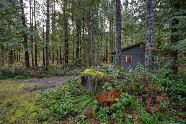 Mt Baker Lodging Cabin 30 - HOT TUB, SLEEPS 8! By MBL - Dış Mekan