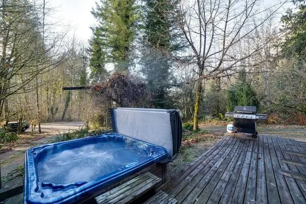 Mt. Baker Lodging Cabin 39 – Pet Friendly, Sleeps 6! by MBL - Havuz