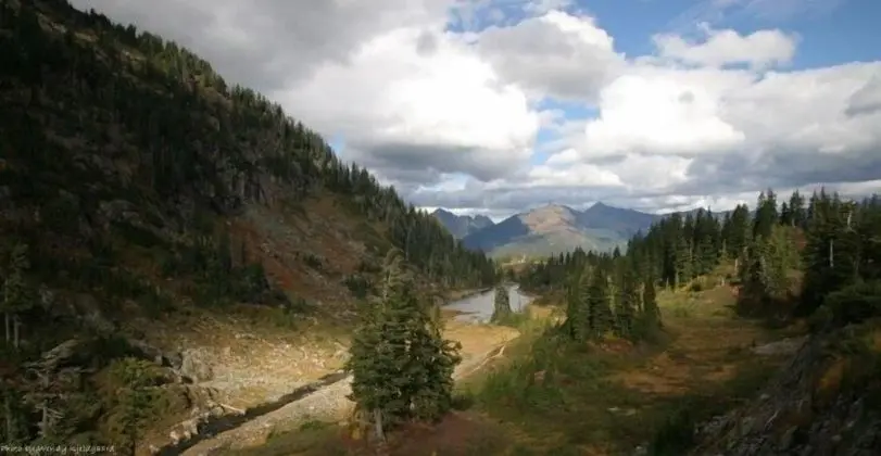 Mt. Baker Lodging Cabin 4 –Pet Friendly, Sleeps 5! by MBL - Genel