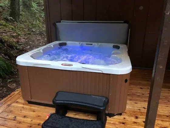 Mt Baker Lodging Cabin 69 – HOT TUB, FRPL, SLEEPS 8, by MBL - İç Mekan