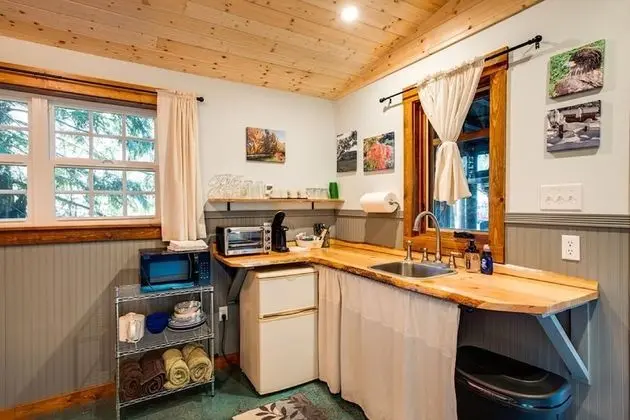 Mt Baker Lodging Cabin 72 - PETS, MT VIEWS, SLEEPS 4! by MBL - Mutfak